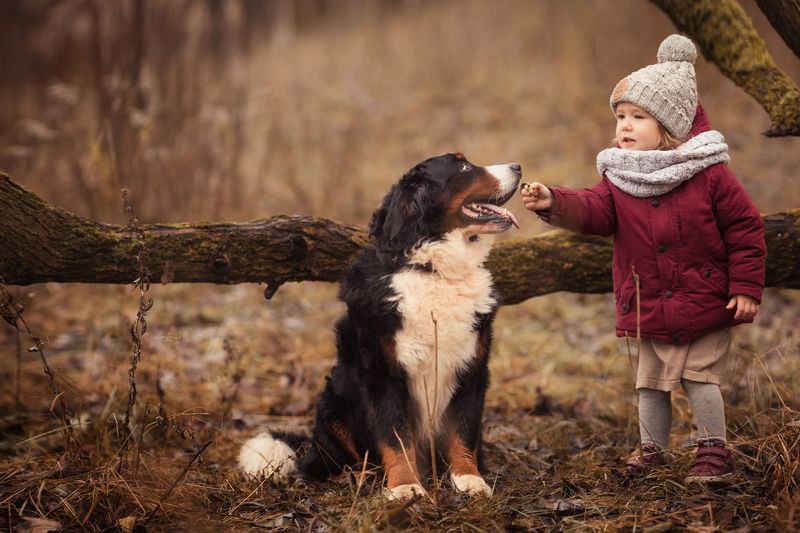 ребенок, девочка, собака, осень photo preview
