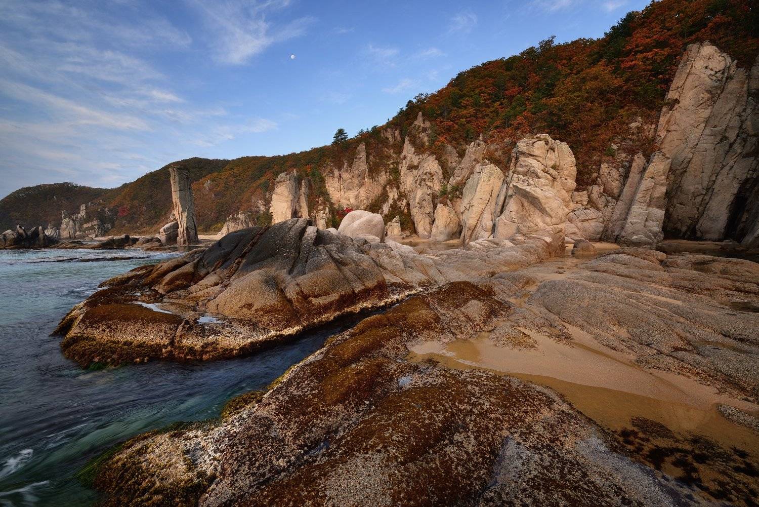 , Максим Евдокимов (www.wildphotorus.ru)