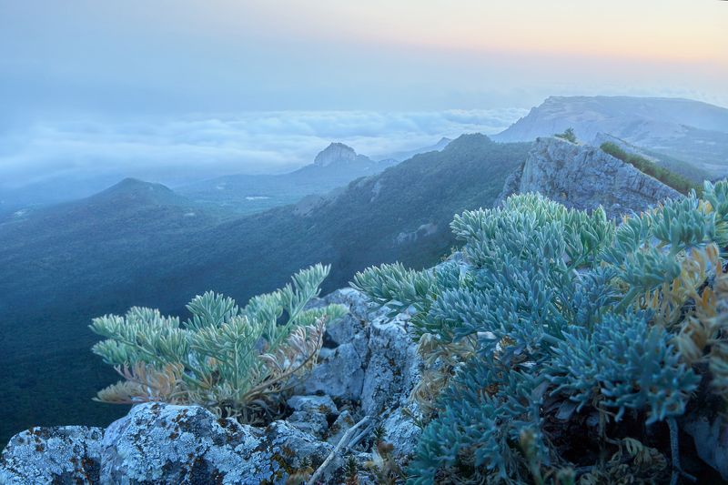 Ат-Баш Ай-Петри Крым Ат-Баш. Ай-Петри. Крым.photo preview