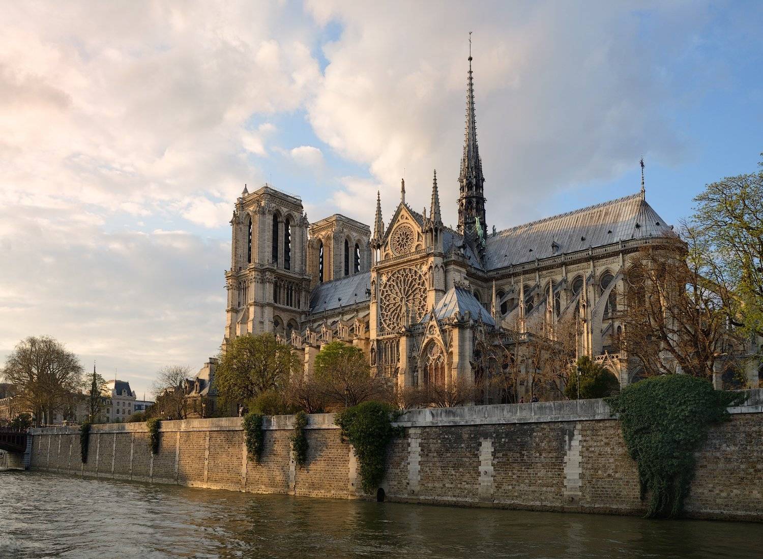 cath&eacute;drale, notre-dame, paris, Olga N.
