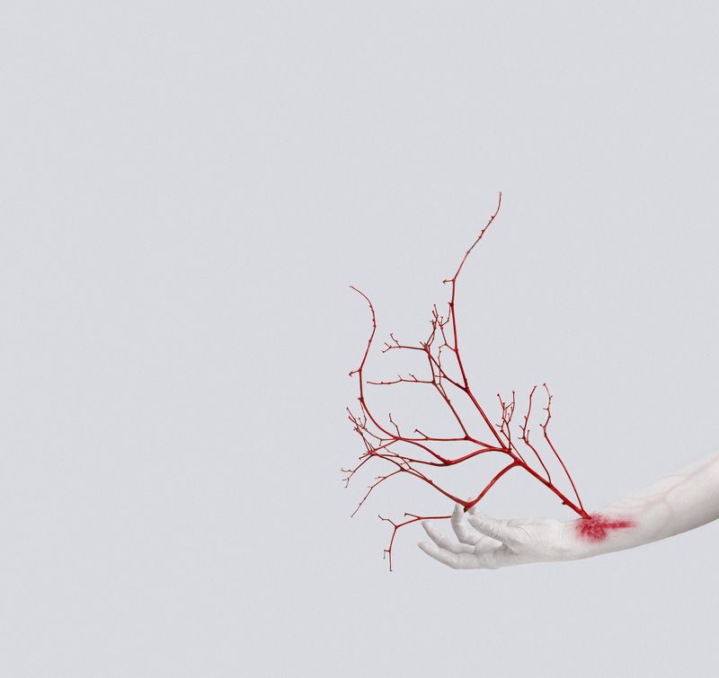 вены, рука, дерево, аллегория, креатив, VEINSphoto preview