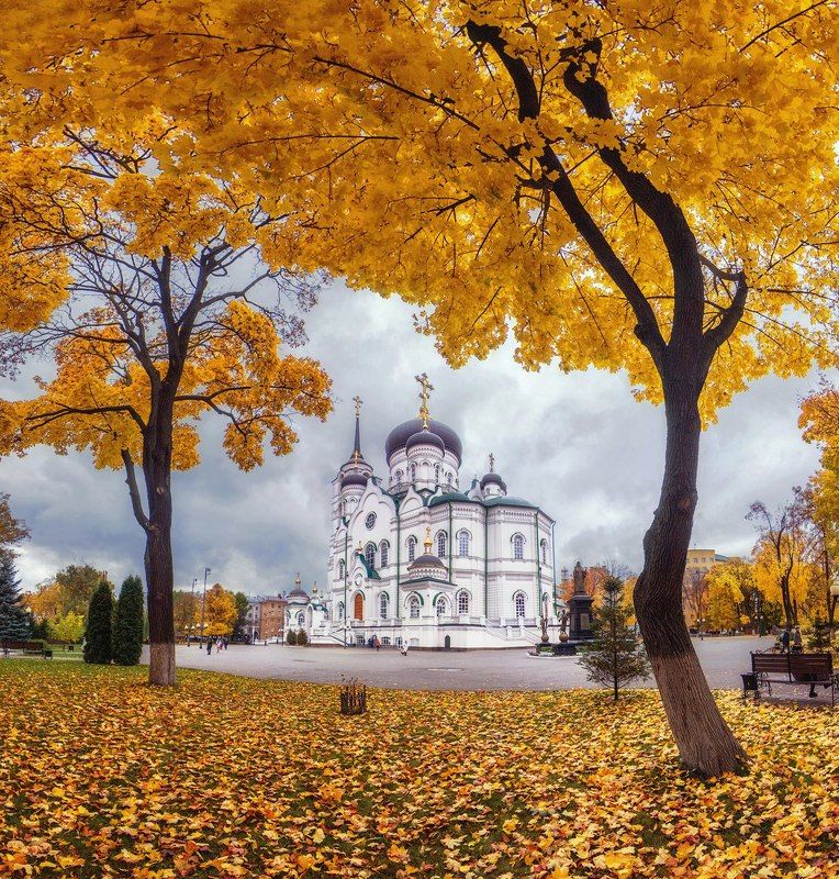 собор, архитектура, воронеж, осень Благовещенский собор в осенней листвеphoto preview
