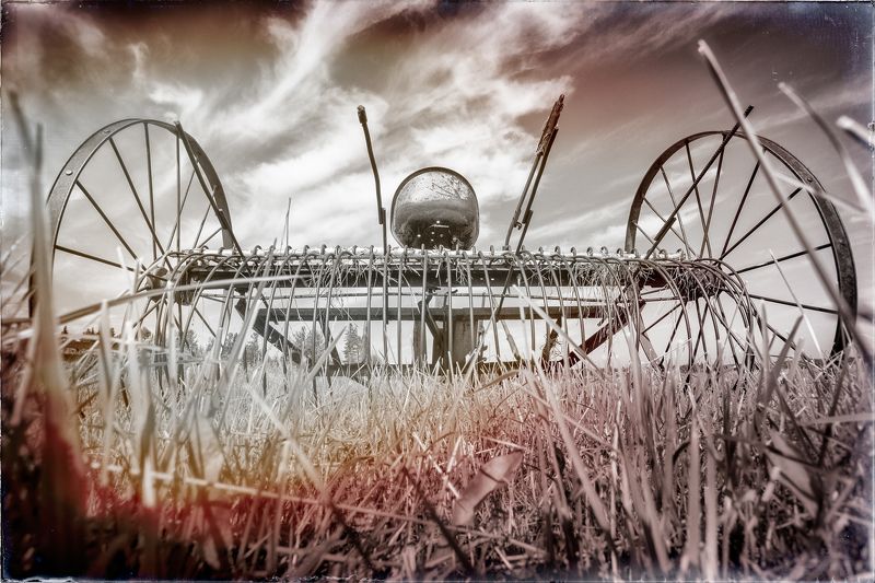 В совхозе имени Ильича.photo preview