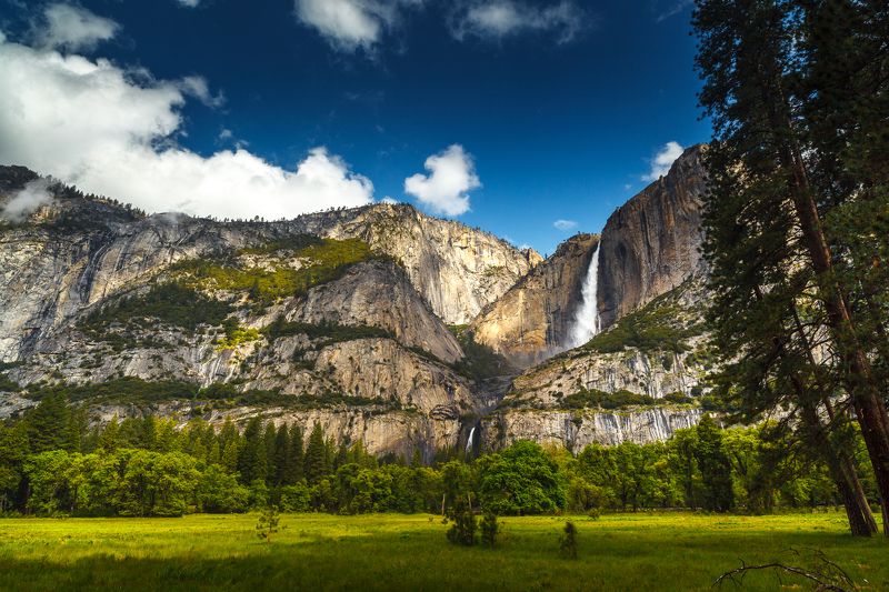 USA 2011 - Yosemitephoto preview