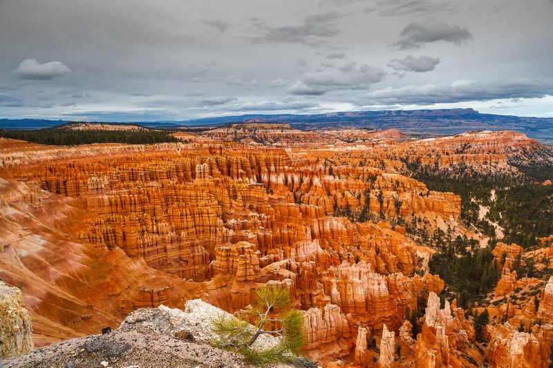 USA 2011 - Utah & Arizona canyonsphoto preview