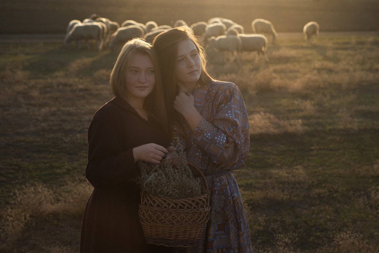 - Ох, какие ребята пошли.... Автор: Катарина Винниченко девушки, деревня, рассвет, бараны, пастухи, свет, Катарина Винниченко