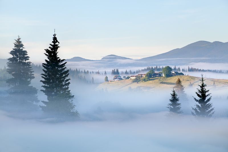 Затерянные в туманеphoto preview