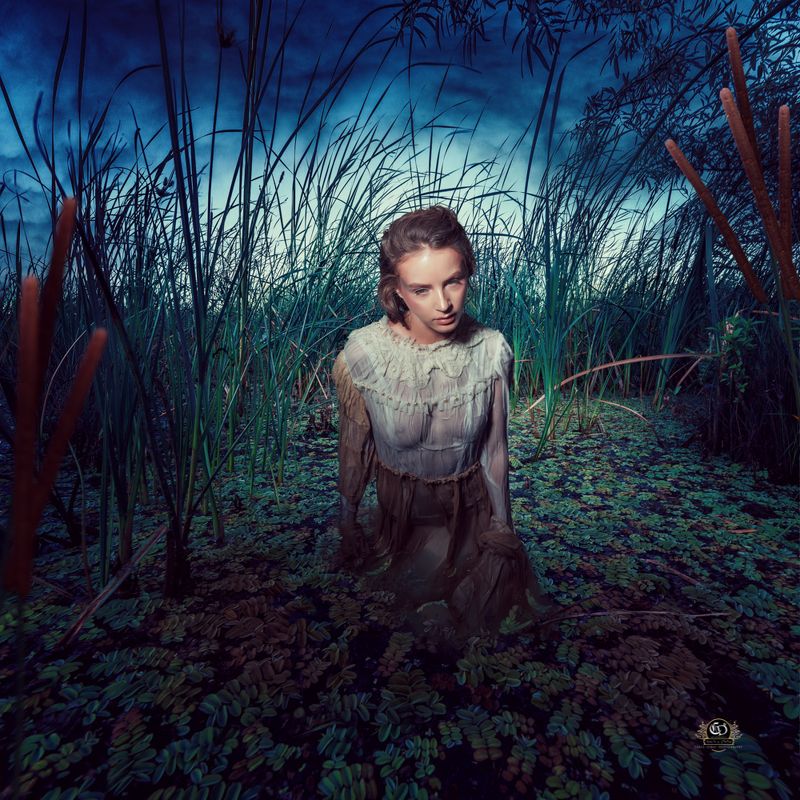 Concept: Beauty and the beast фото превью