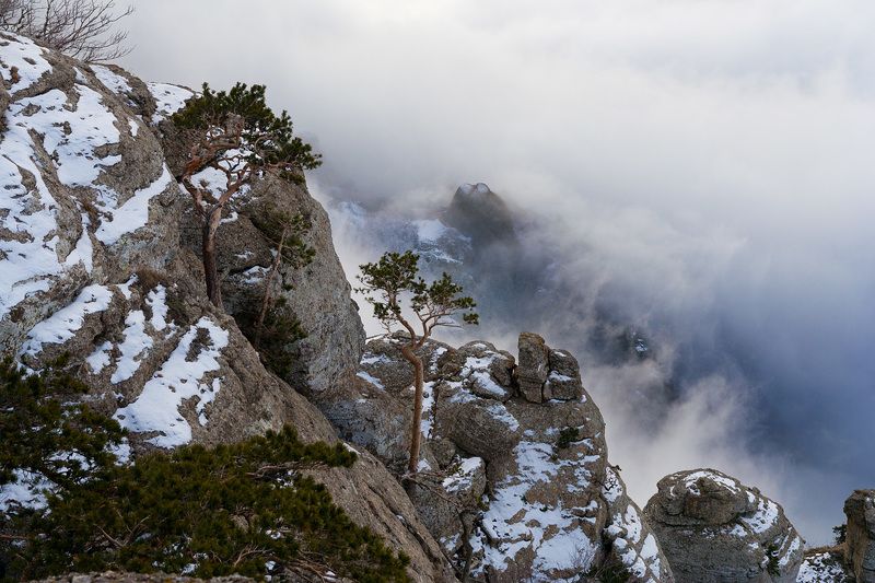 Паралельні світи фото превью