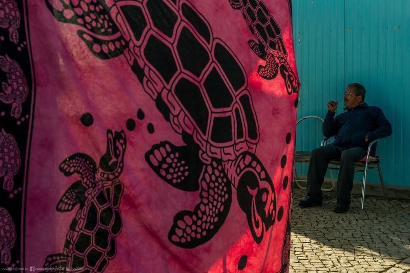 Культура, Люди, узор, Азия, Фон, Искусство, Религия, Индия, Украшение, черепаха, розовый, фиолетовый, синий, бирюзовый, Португалия, мужчина Вторжение черепах photo preview