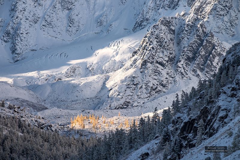 россия, алтай, горный алтай, шавла, шавлинские озера, ледник зелинского, золотая осень, лиственницы, ледник, снег, kaiser sozo Ледниковый периодphoto preview