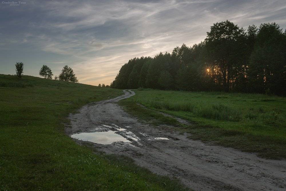 пейзаж,природа,закат,дорога,лето, Taras