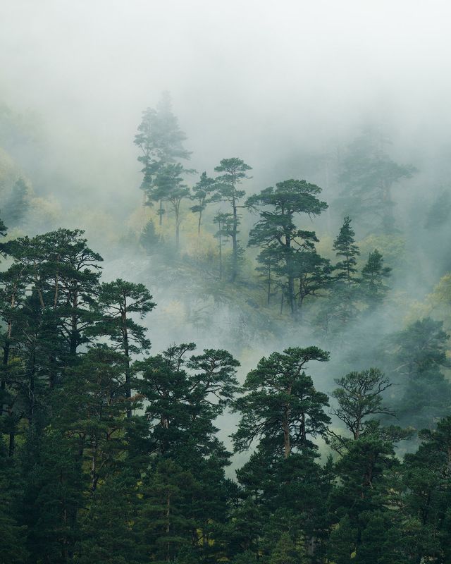 россия, кавказ, северная осетия, горы, ущелье, дигория, рассвет, сумерки, природа, хребет, скалы, небо, река, ледник, туман, облака Окутанные туманомphoto preview