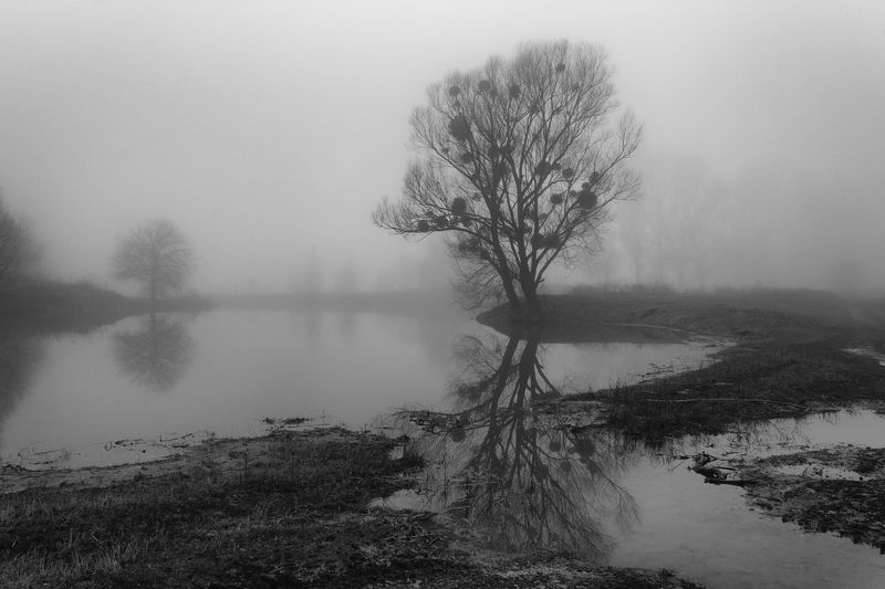 . . . фото превью