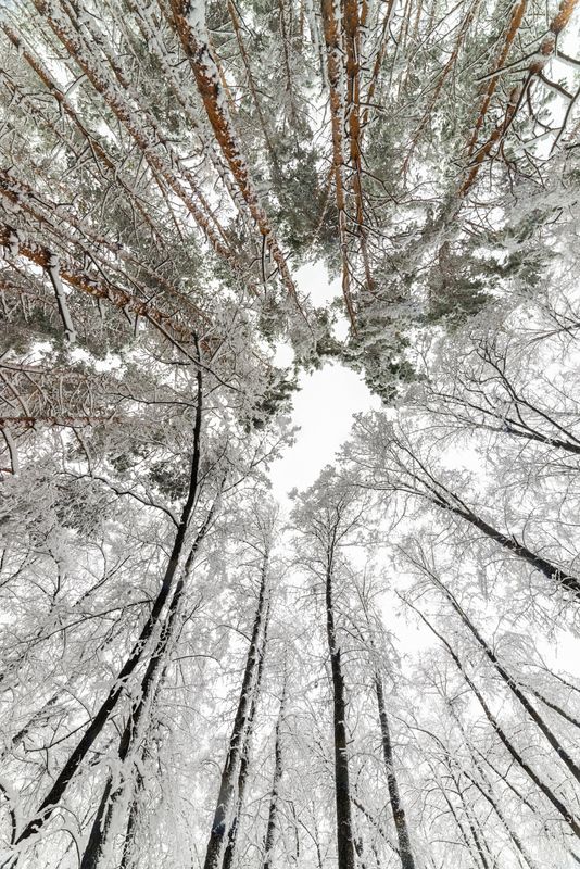 Vertigophoto preview