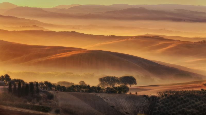 #italia #италия #тоскана Золотая Тосканаphoto preview