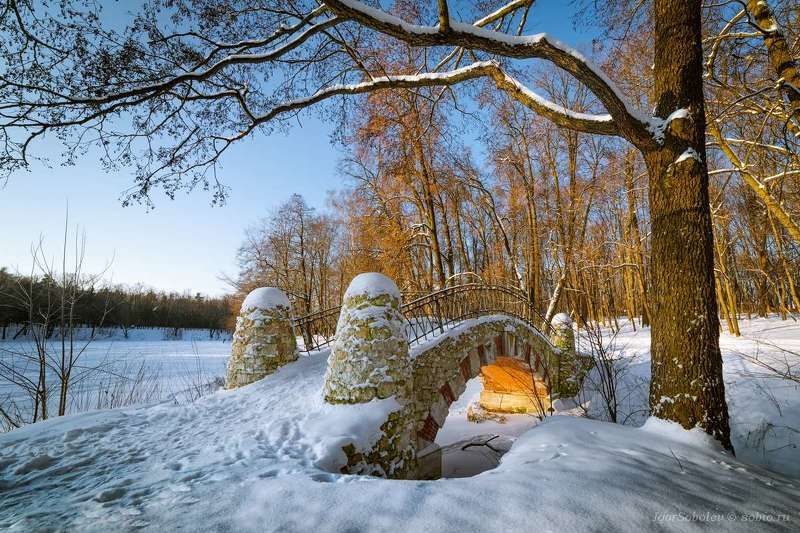 москва, зима, кузьминки, парк, мост, moscow, winter, kuzminki, park, bridge Мостик в паркеphoto preview