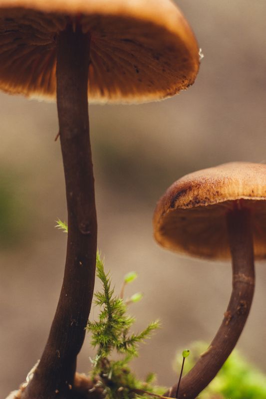 Другой взглядphoto preview