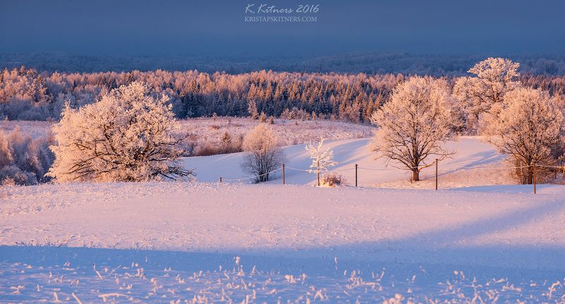 snow frost forest tree blue white winter sky clouds latvia landscape field sun sunset cold Snowy Afternoonphoto preview
