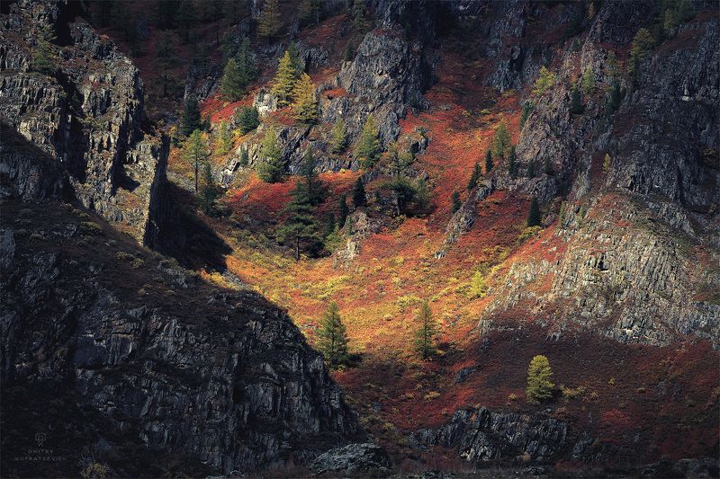 Краски осениphoto preview