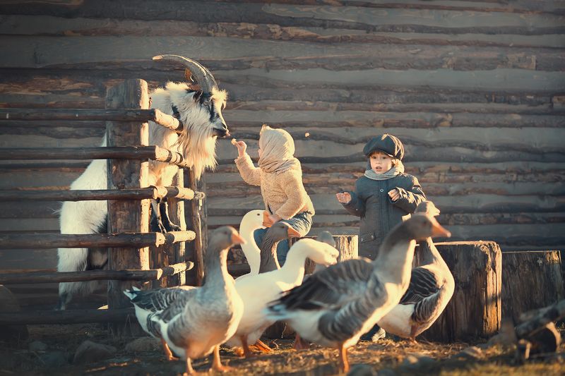 Время обедаphoto preview