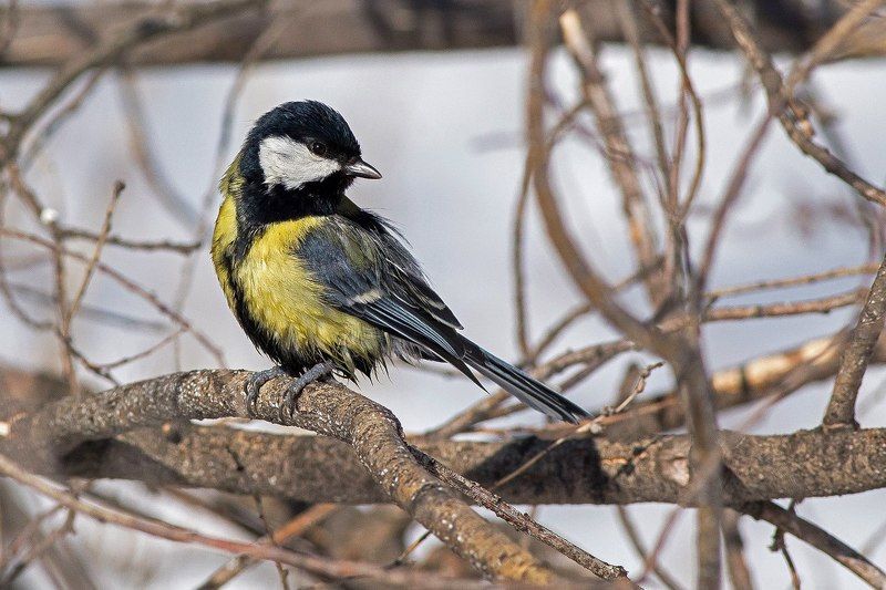 после водных процедурphoto preview