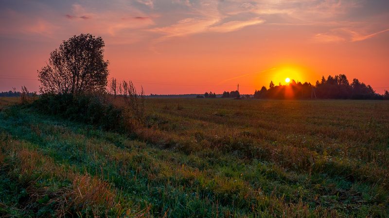 рассвет, поле, дерево, роса, солнце, небо, деревня Дыхание осеннего рассветаphoto preview