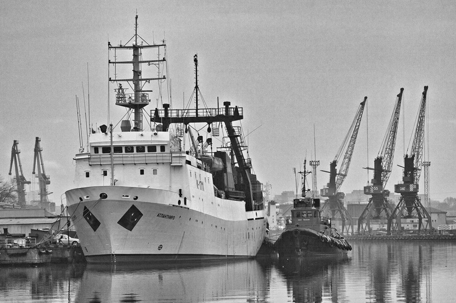 , Геннадий Новов