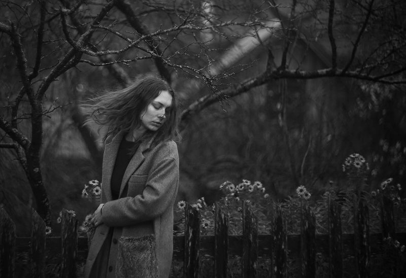 sad flowersphoto preview