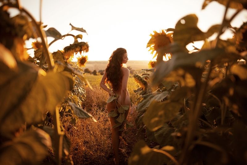 dianaslobodianiukphoto *****photo preview