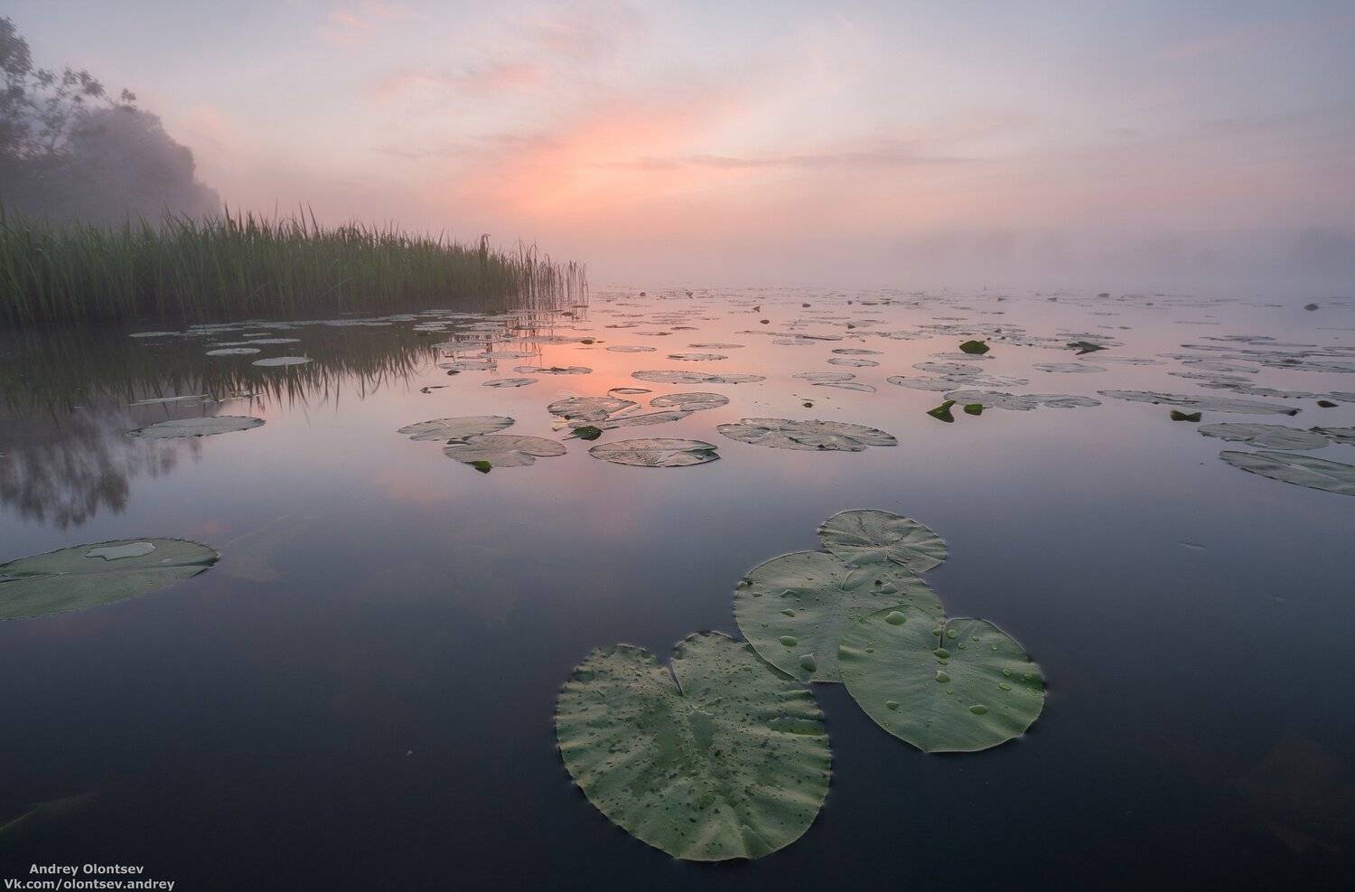 Тишь да гладь.. Автор: Андрей Олонцев дубна, наукоград, подмосковье, россия, пейзаж, пейзажи, вода, солнце, отражение, рассвет, красота, природа, весна, погода, canon dubna, naukograd, moscow, russia, landscape, water, sun, reflection, dawn, beauty, nature, spring, weather, Андрей Олонцев