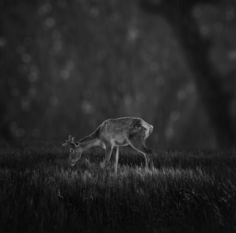 #hosseinmehrzad #myfeatureshoot #friendsinperson #حسین_مهرزاد #theweekoninstagram #everybodystreet #everydayeverywhere #persianlikes #hartcollective #reportagespotlight #uspiran #lensculturetalent #heatercentral #phroommagazine #friendsinperson #streetpho Rallyphoto preview