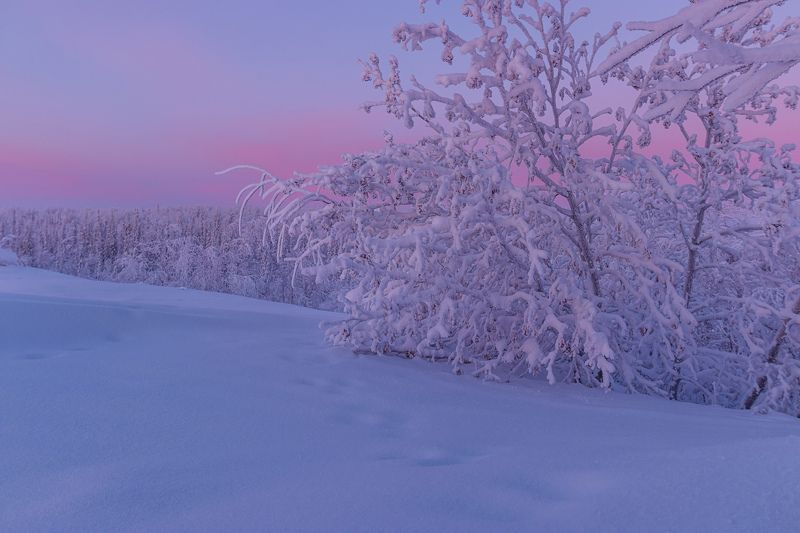 ямал , зима , природа, салехард , декабрь,  ямал ,север \