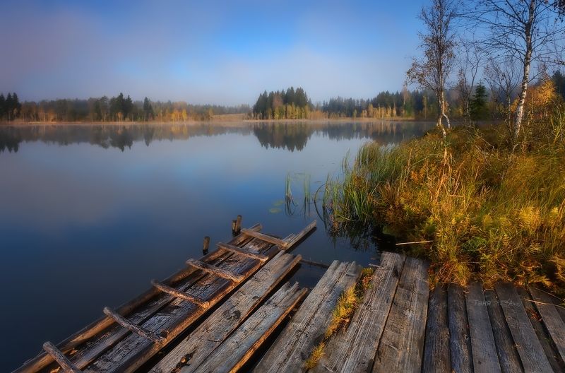 питер, болото, туман, рассвет, утро, осень Растаял утренний туман...photo preview