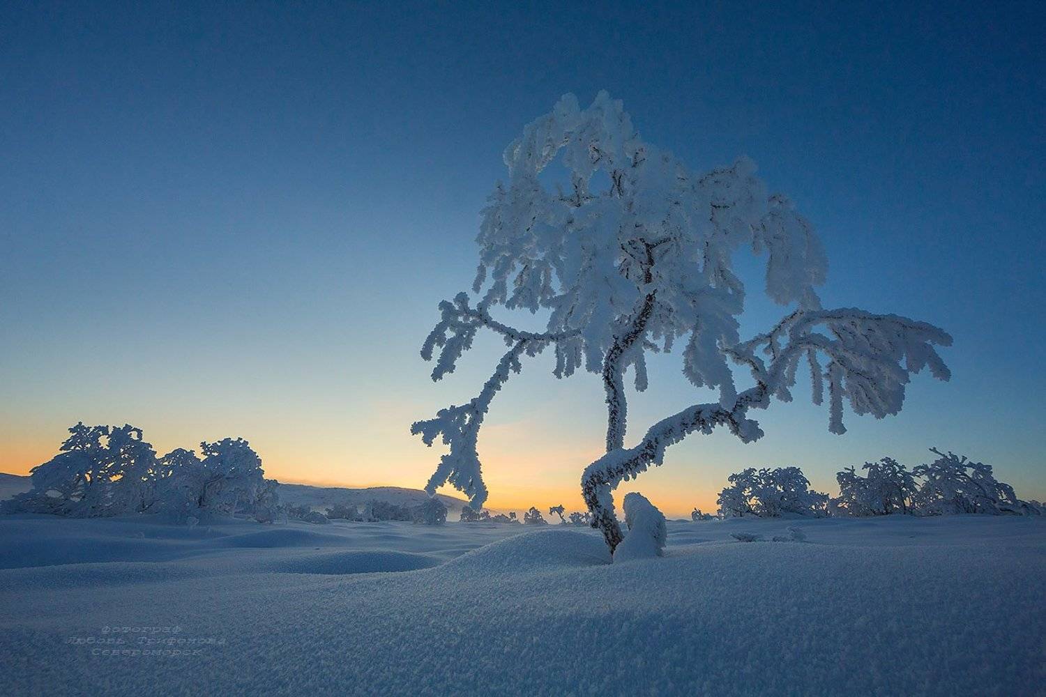кольский п-ов, пейзаж, природа, зима, иней, Любовь Трифонова