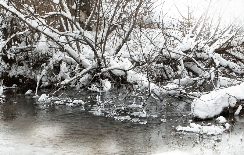 пальцами веток по стылой воде.photo preview