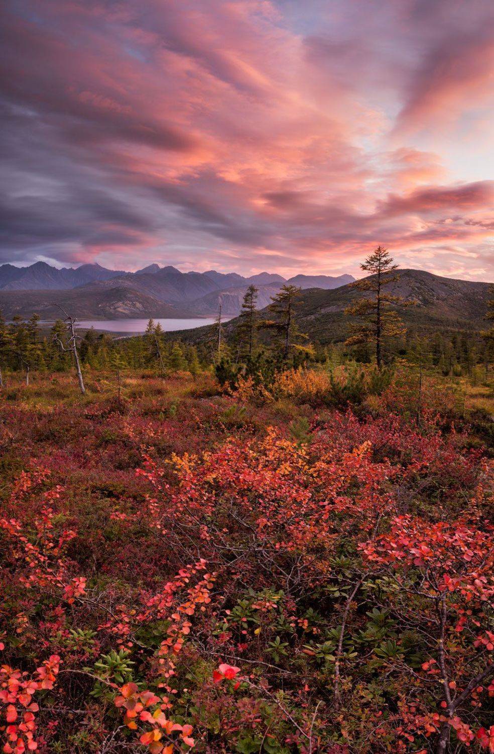 закат, осень, карликовая березка, горы, озеро, красный, облака, колыма, путешествия, панорама, Антон Селезнев