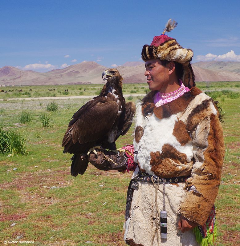 монголия, орел, беркут, охотник, беркутчи ***photo preview