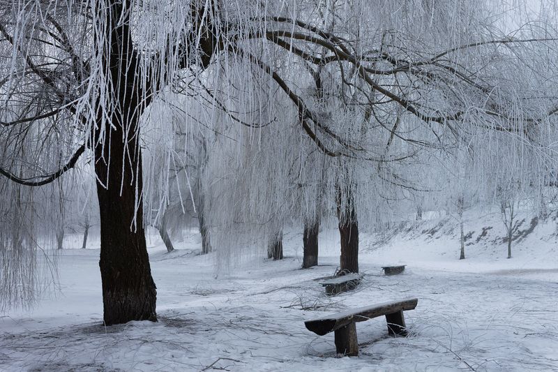 . . . фото превью