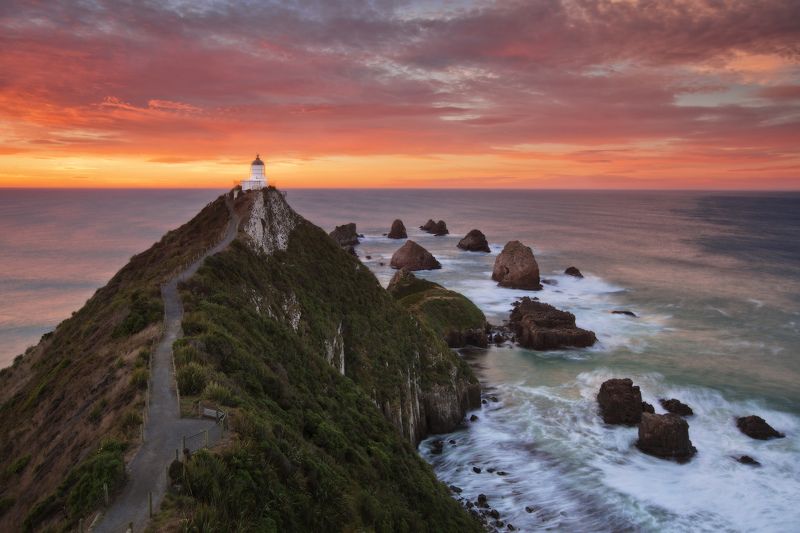 new zealand, nugget point Lighthousephoto preview