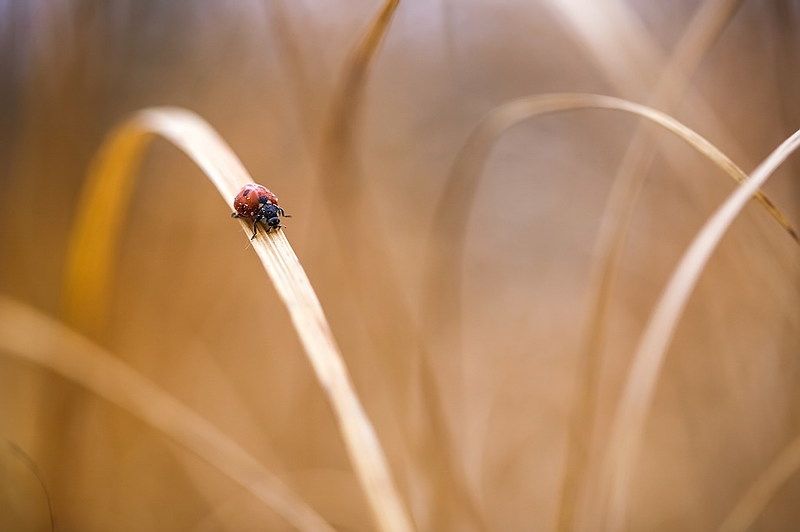 Дорогиphoto preview