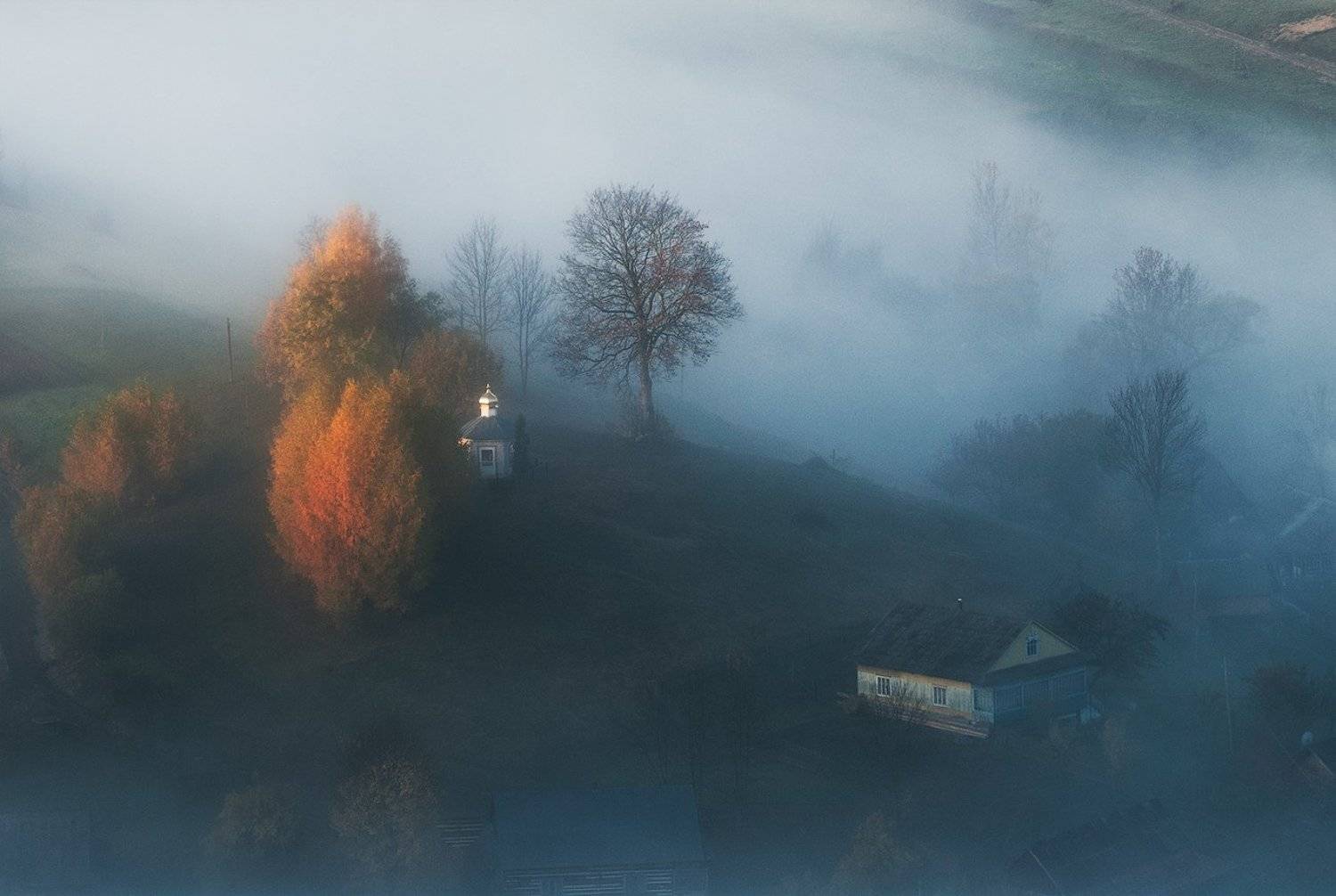 На дне туманного океана. Автор: flyman , flyman