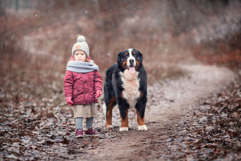 девочка, собака, прогулка, осень photo preview