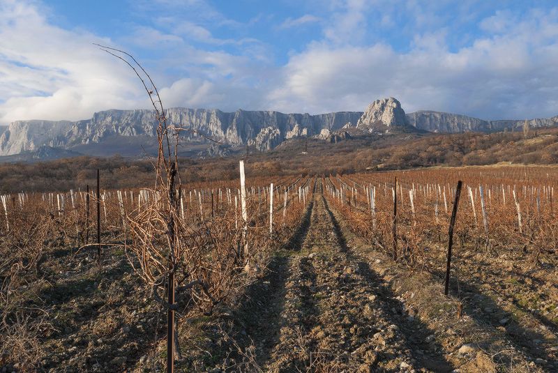 Время покоя..... декабрь.....photo preview