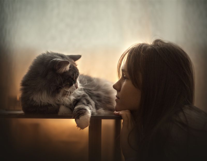 разговор без словphoto preview