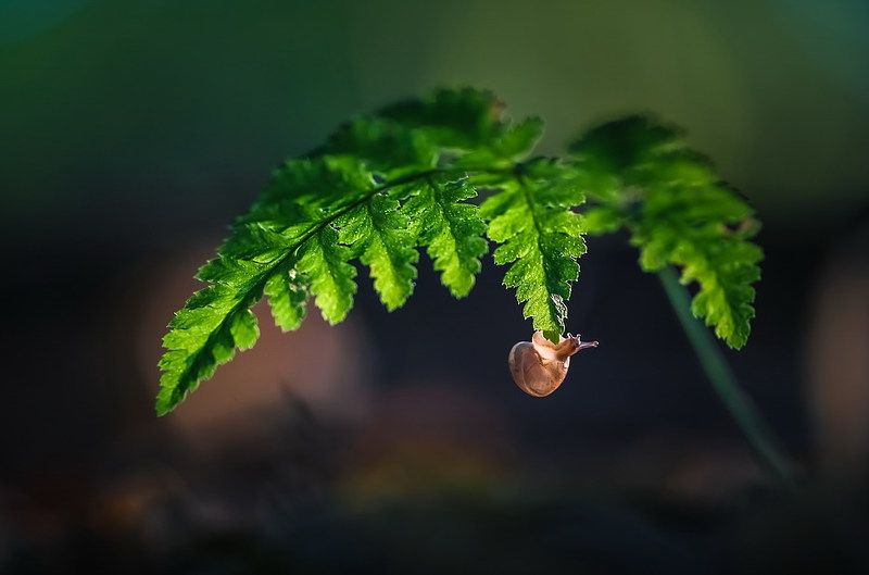 Малышкаphoto preview