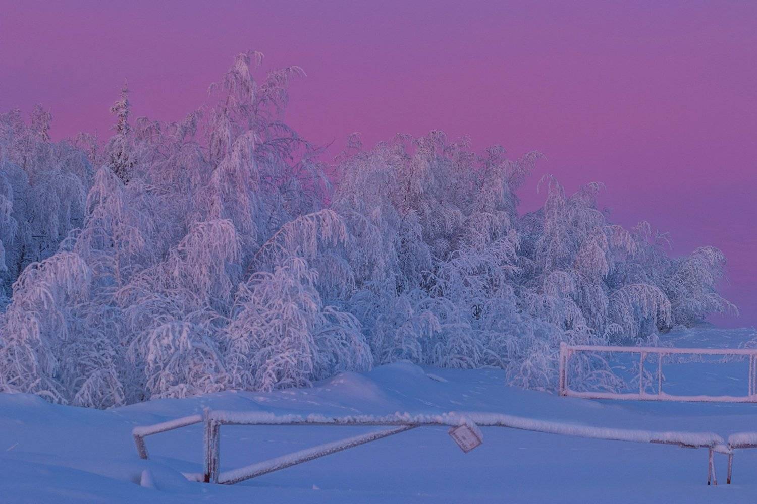 ямал , зима , природа, салехард , декабрь,  ямал ,север, Настя Братка