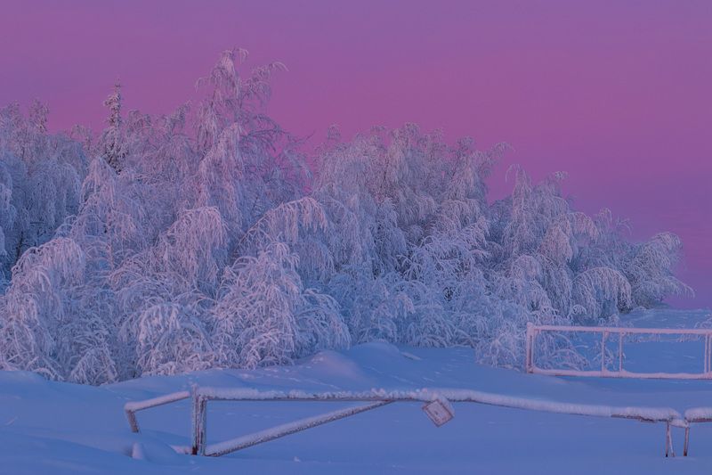 ямал , зима , природа, салехард , декабрь,  ямал ,север \