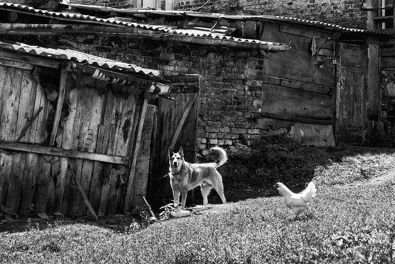 УЛОЧКИ-ЗАКОУЛОЧКИphoto preview