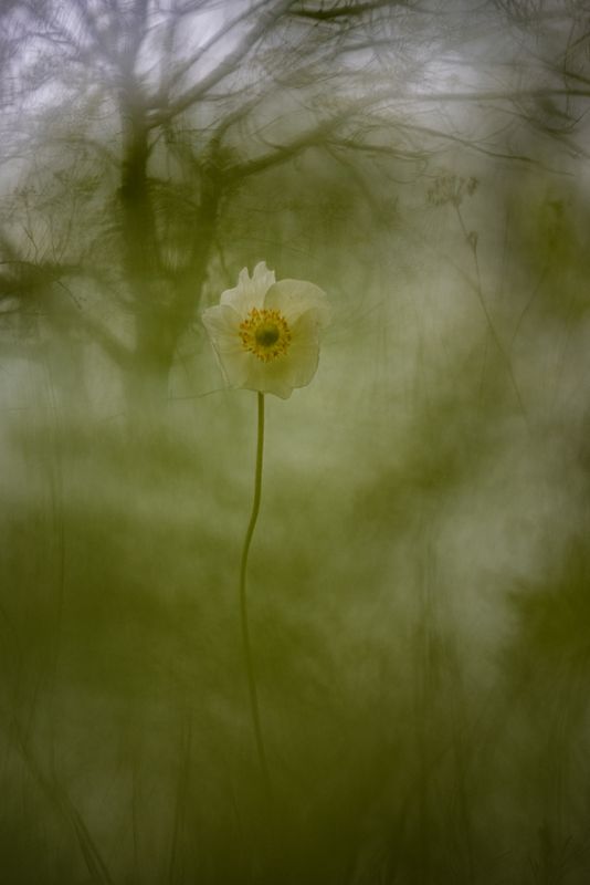 Винтажphoto preview